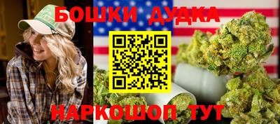 дмт Новокубанск