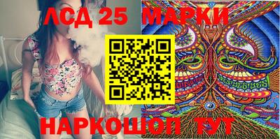дмт Новокубанск