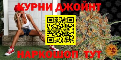 дмт Новокубанск