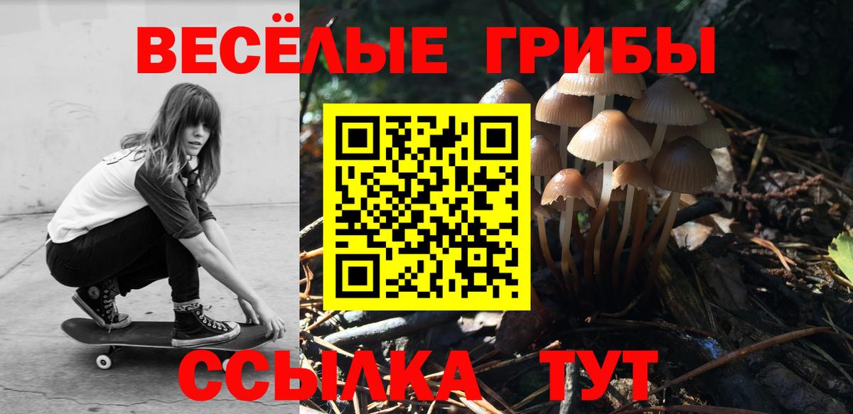 Галлюциногенные грибы ЛСД  Вход с VPN  что такое   Тайшет  Псилоцибиновые грибы прущие грибы 