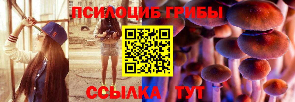 Псилоцибиновые грибы Cubensis Тайшет